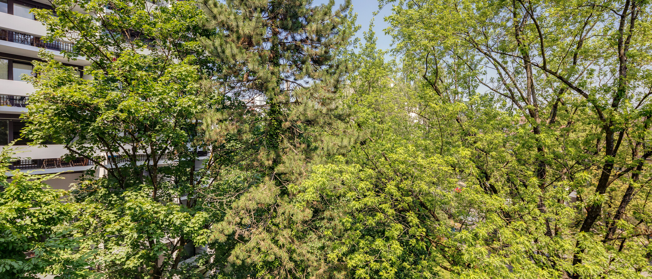 appartement München Milbertshofen 03 vue 11650