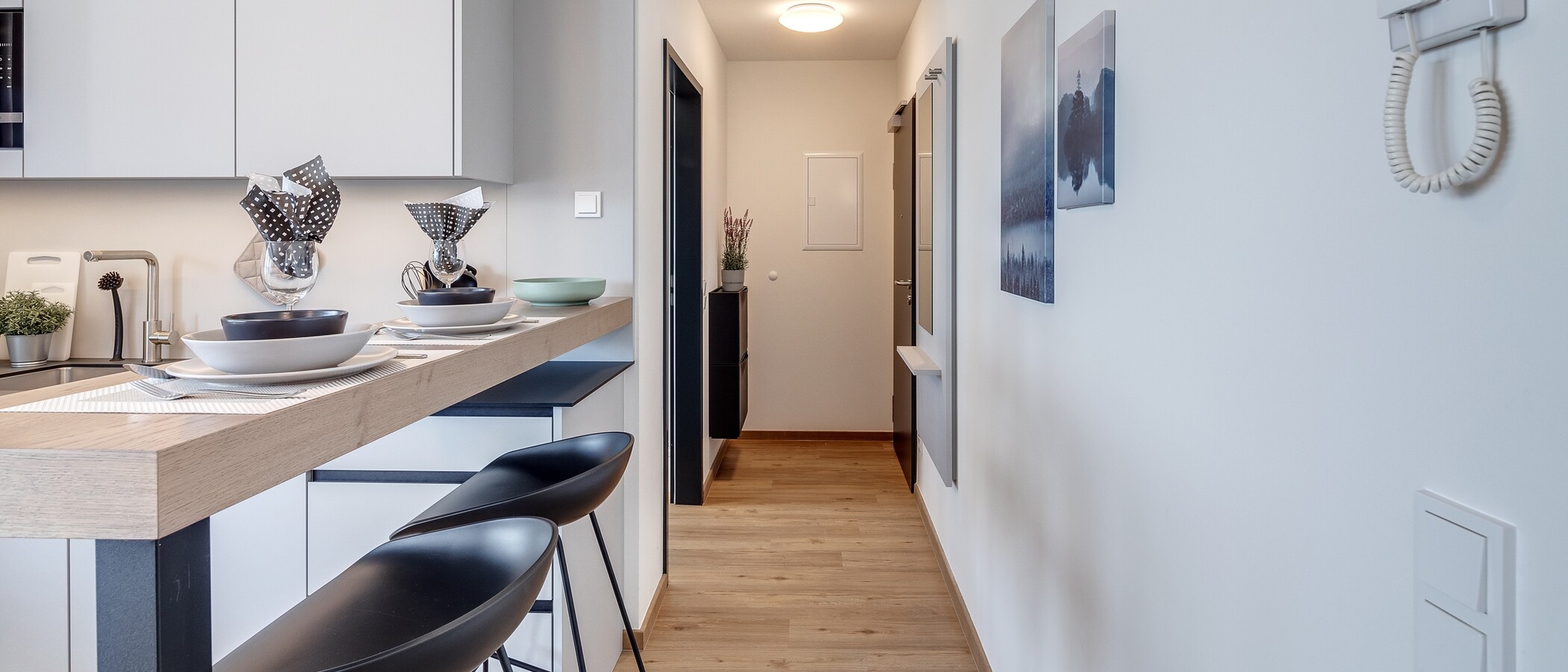 studio Eching 02 entrée/couloir 11664