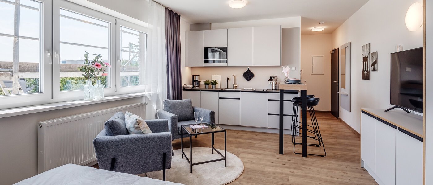 studio Eching 01 pièce à vivre 11666