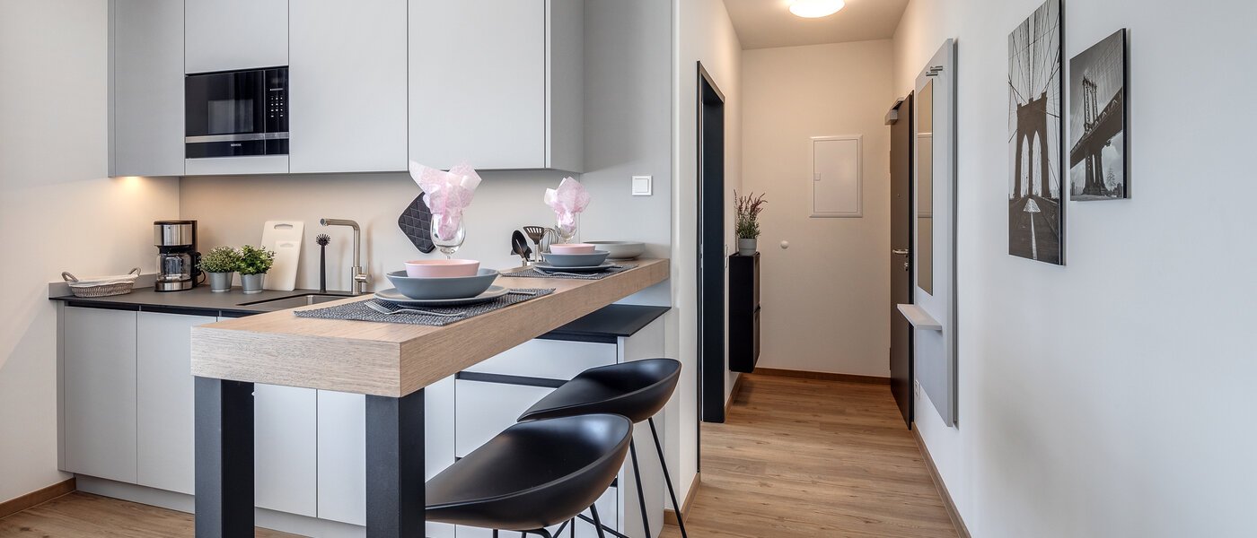 studio Eching 04 pièce à vivre 11666