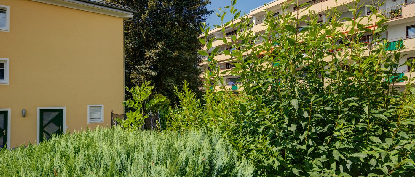 appartement Gauting 03 vue 11690