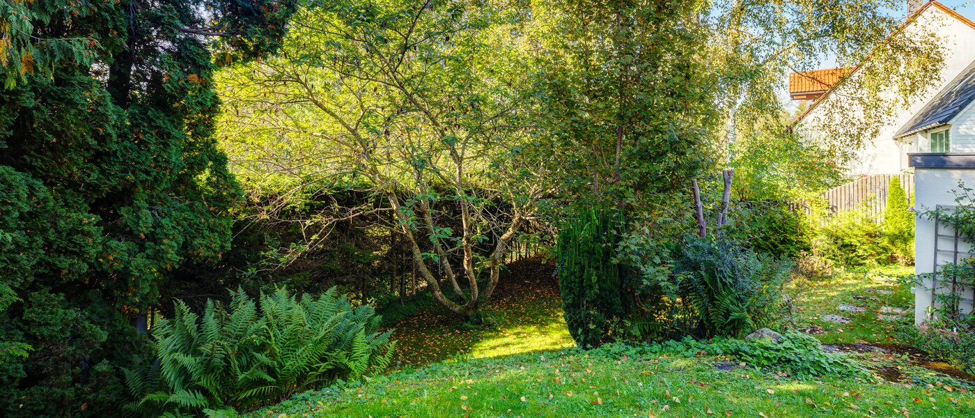 appartement avec jardin Feldafing 02 jardin 11698