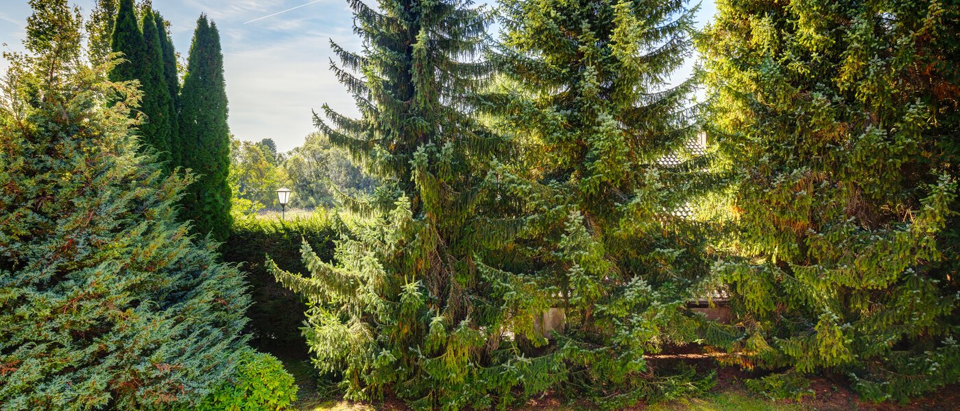 appartement avec jardin Feldafing 01 vue 11698