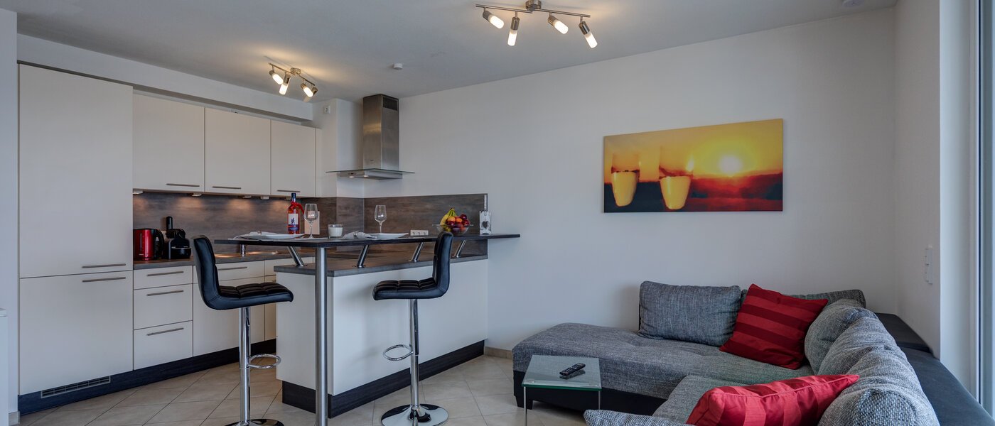 appartement München Pasing 01 pièce à vivre 11739