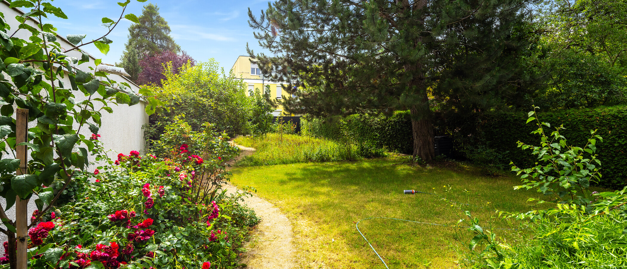 maison mitoyenne München Harlaching 03 jardin 11748