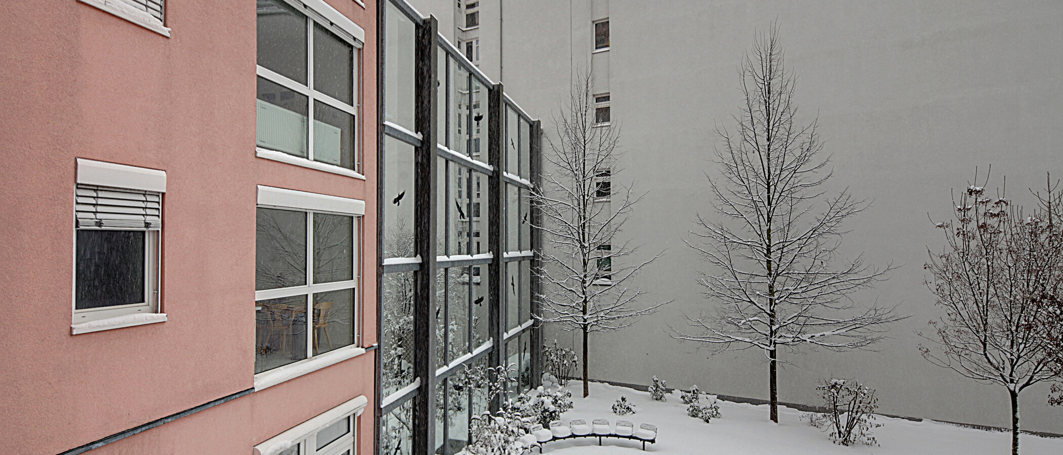 appartement München Schwabing (links der Leopoldstraße) 02 vue 1191