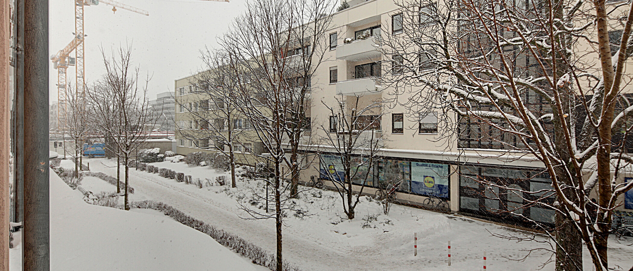 appartement München Schwabing (links der Leopoldstraße) 04 vue 1191
