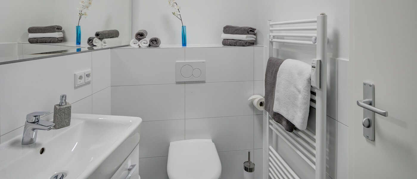 appartement sous les toits München Obergiesing 05 salle de bain 11915