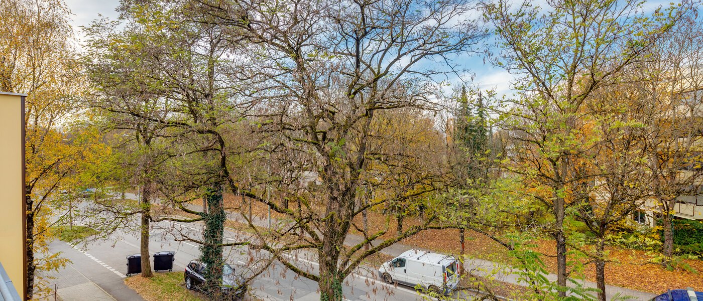 appartement München Solln 01 vue 11930