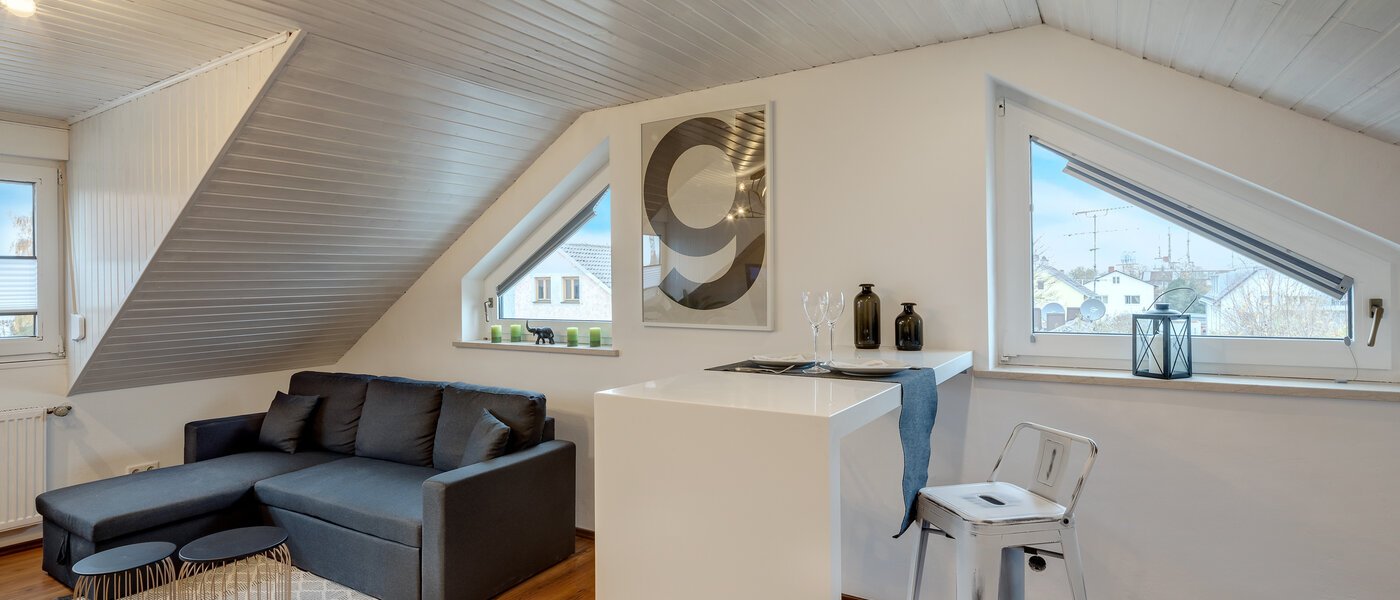 appartement sous les toits München Lerchenau 01 pièce à vivre 11948