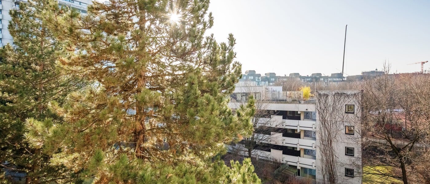 appartement München Haidhausen 01 vue 12031