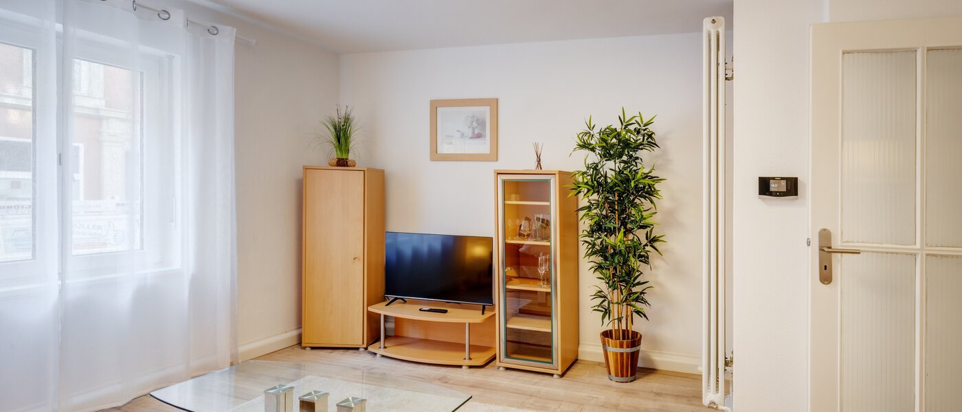 appartement München Maxvorstadt - Museumsviertel 02 salle de séjour 1215