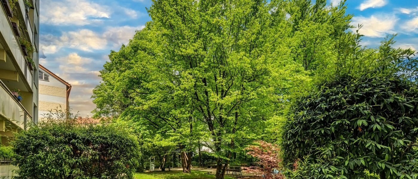 appartement München Neuhausen 03 vue 12163