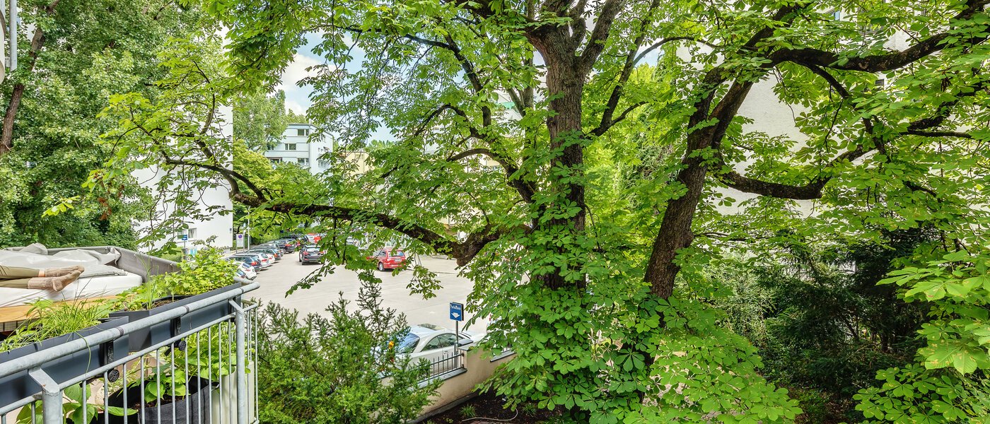 appartement München Schwabing 03 vue 12216