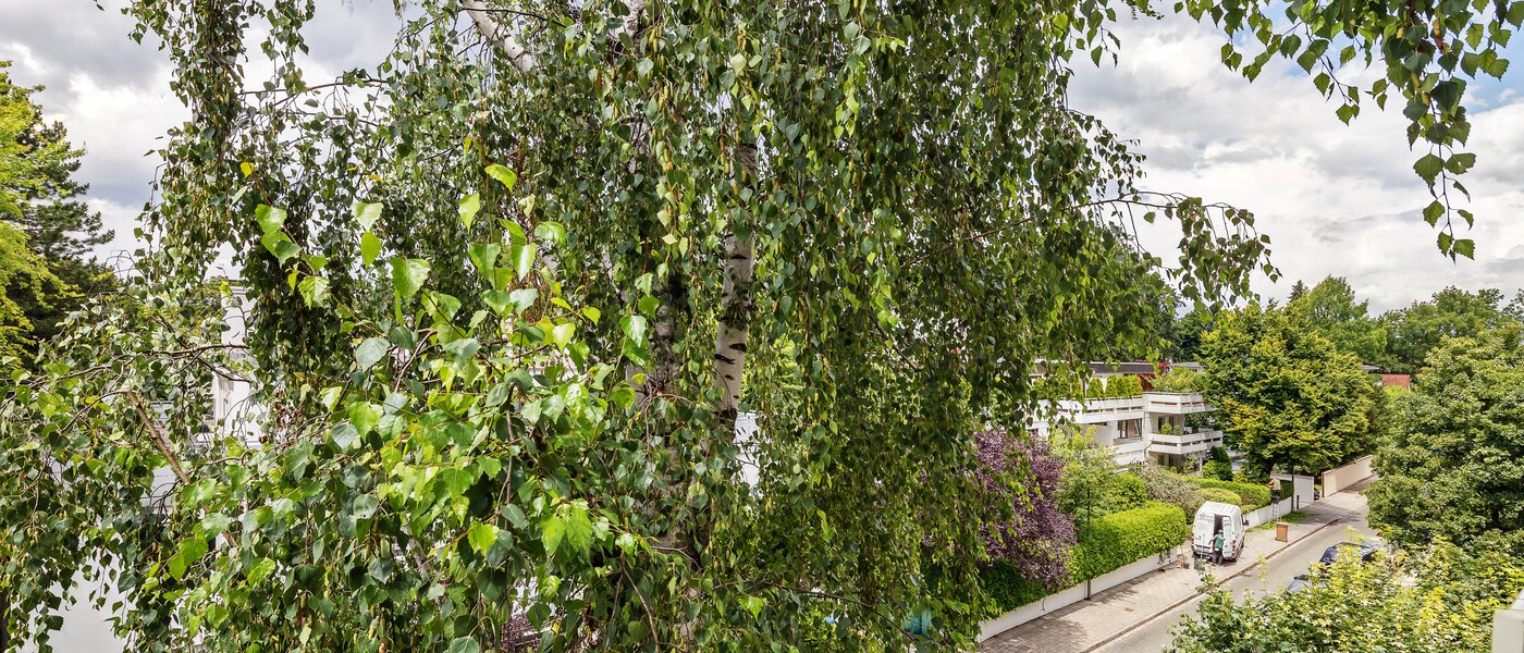 appartement München Herzogpark 03 vue 12265