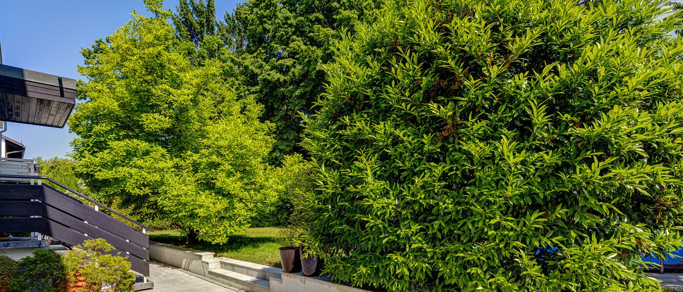 appartement style maisonnette München Cosimapark 06 zone commune 12301