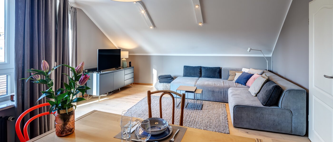 appartement sous les toits München Obergiesing 01 pièce à vivre 12328