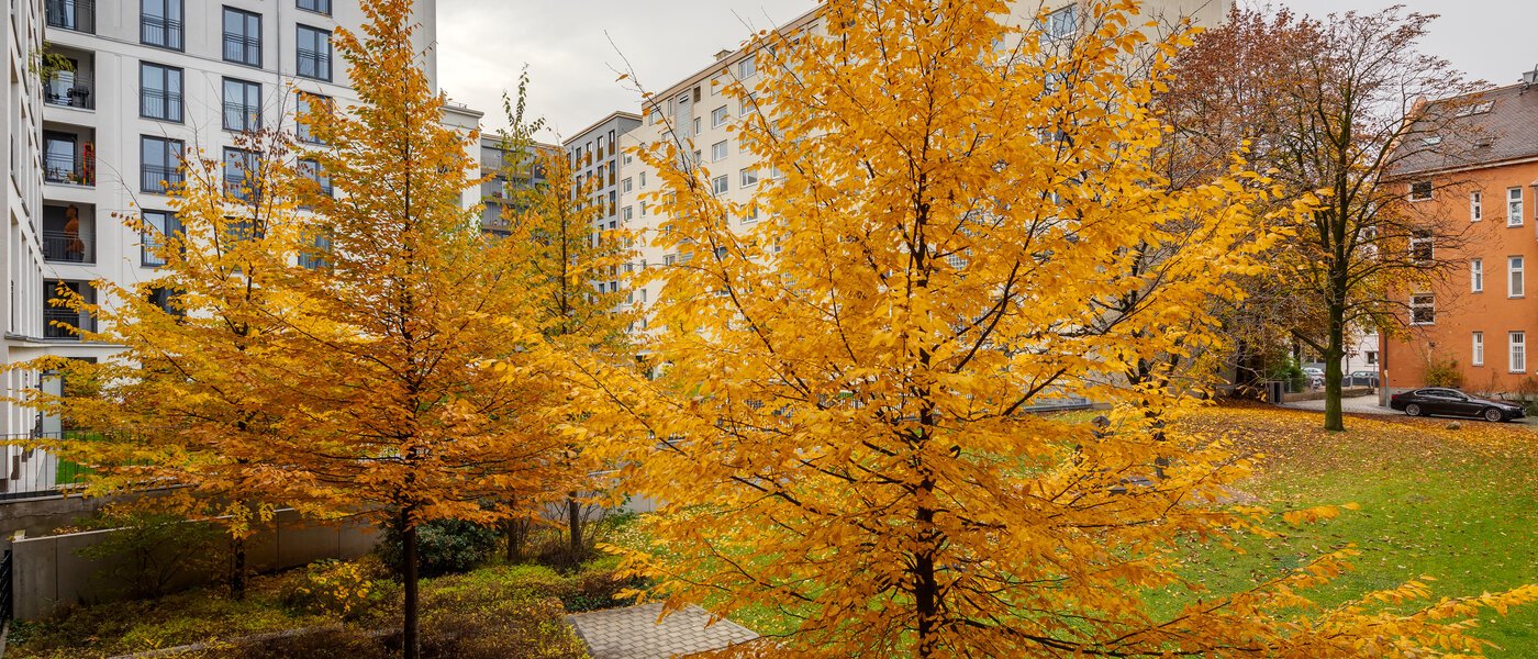 appartement München Bogenhausen 01 vue 12389