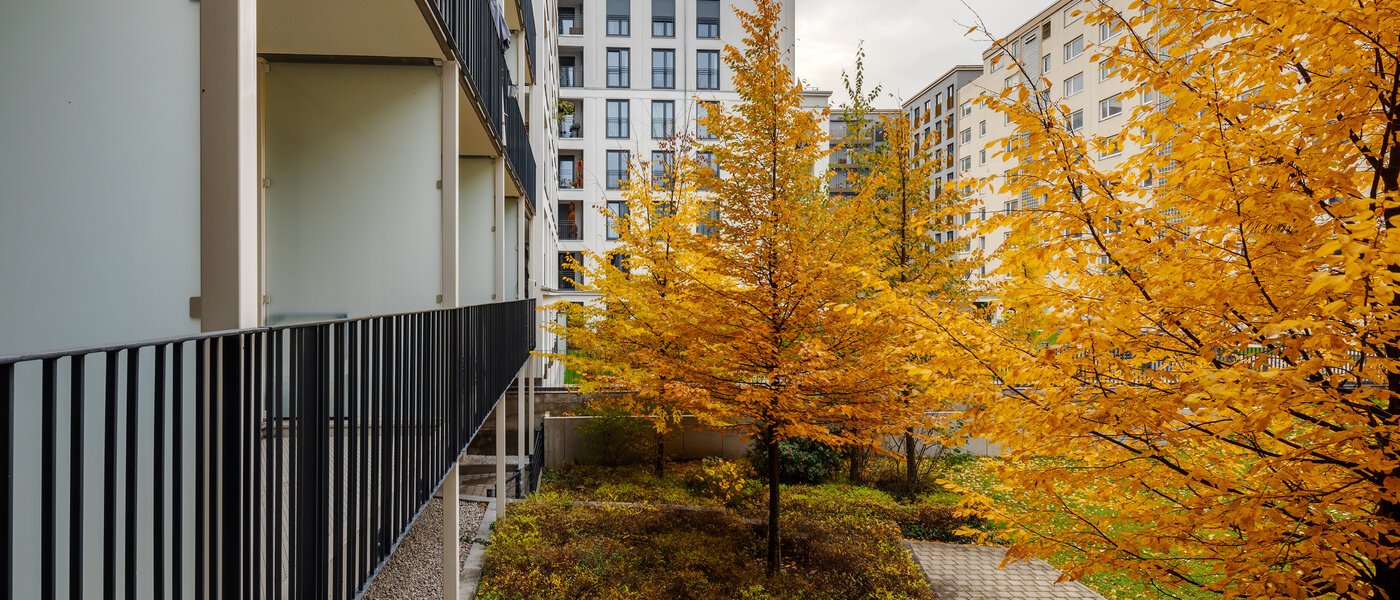 appartement München Bogenhausen 02 vue 12389