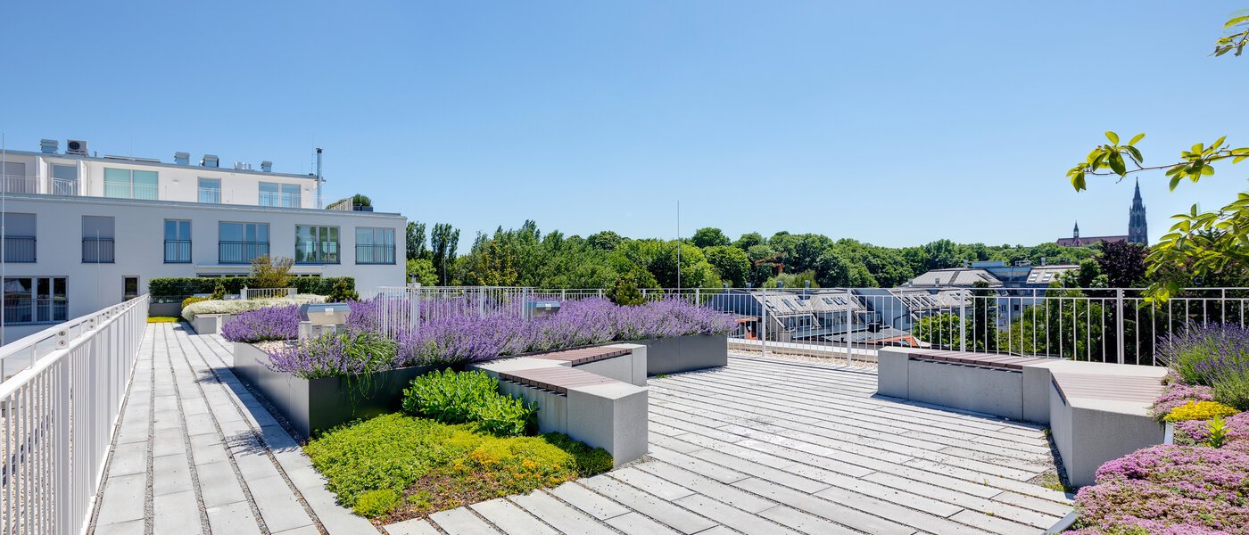 appartement München Au 01 zone commune 12459