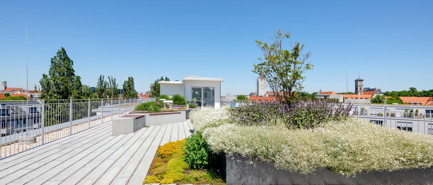 appartement München Au 02 zone commune 12459