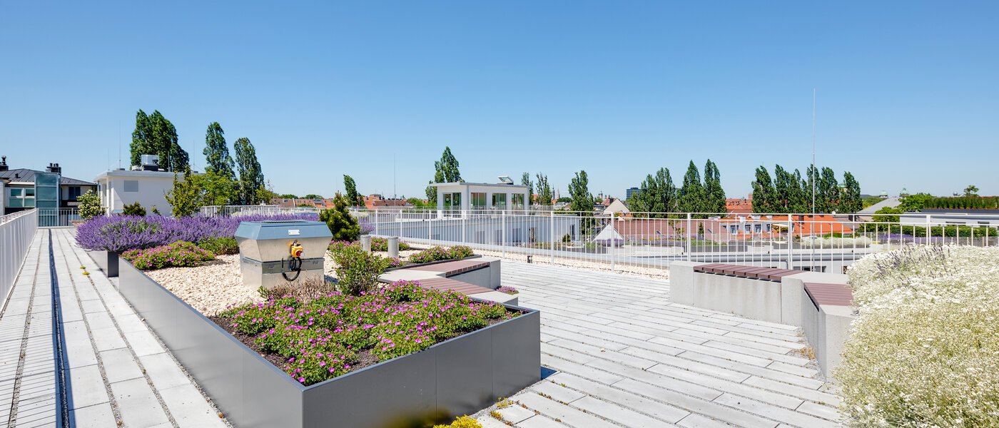 appartement München Au 03 zone commune 12517