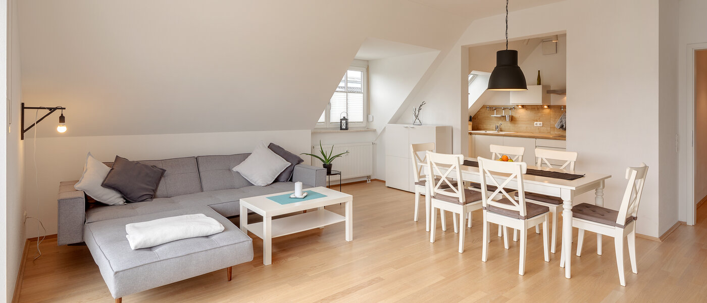 appartement sous les toits München Lerchenau 01 pièce à vivre 12556