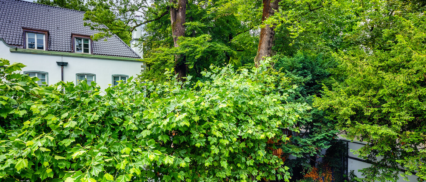 appartement München Herzogpark 01 vue 12619