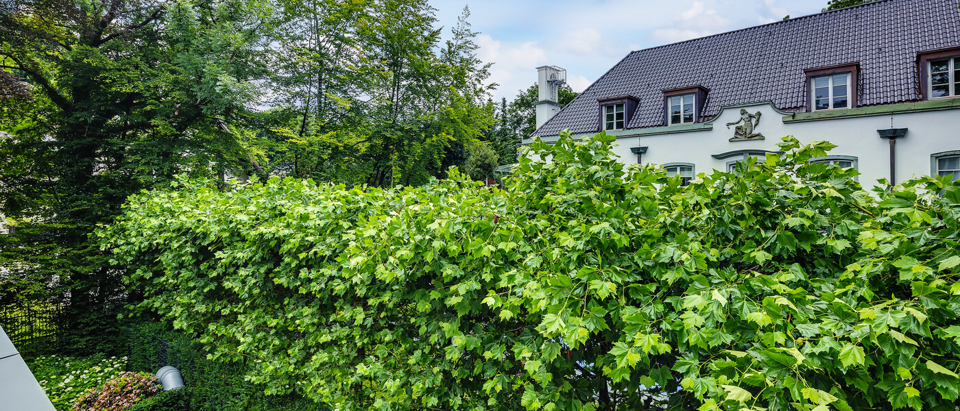 appartement München Herzogpark 02 vue 12619