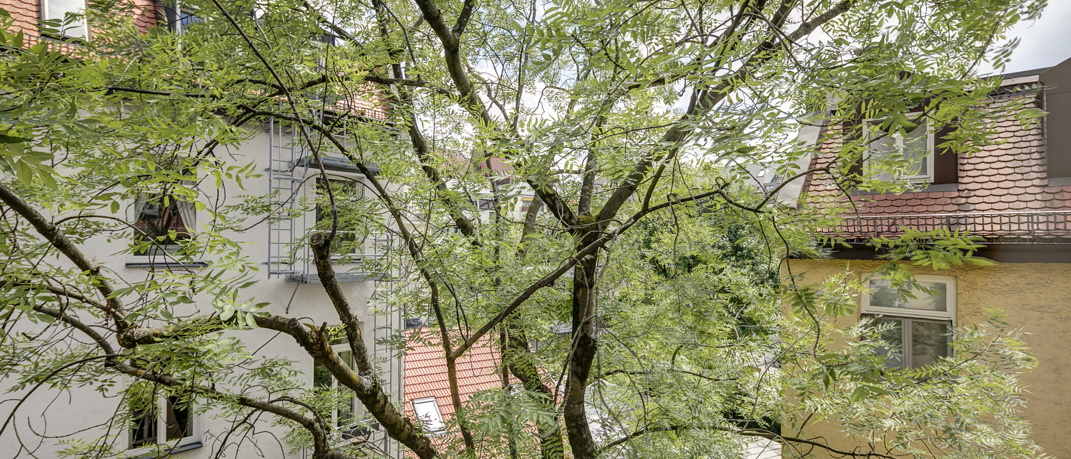 appartement München Schwabing (links der Leopoldstraße) 01 vue 1262