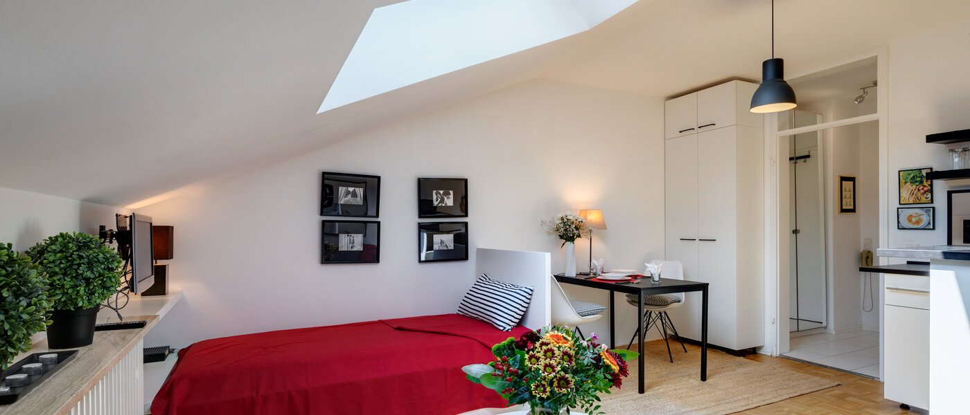 appartement sous les toits Kreuth Weissach 01 chambres 12696