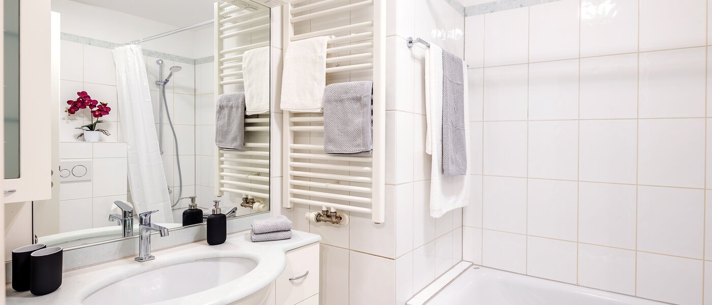 appartement München Maxvorstadt - Westen 01 salle de bain 12753