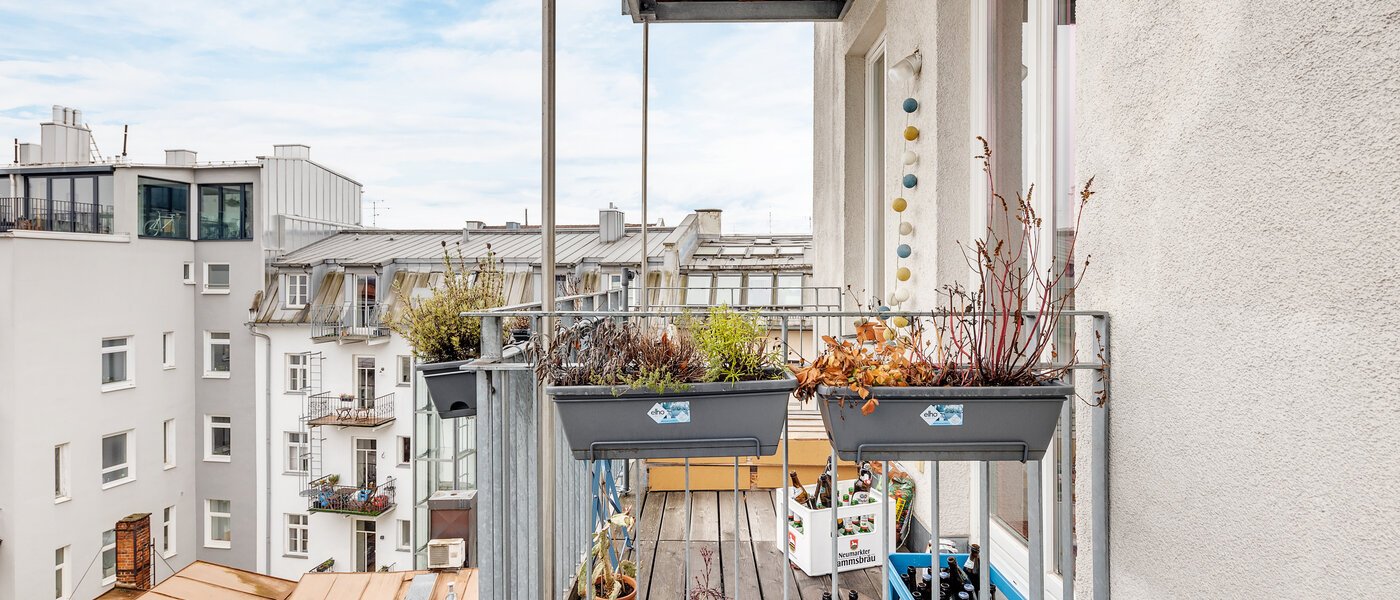 appartement München Maxvorstadt - Westen 03 vue 12753