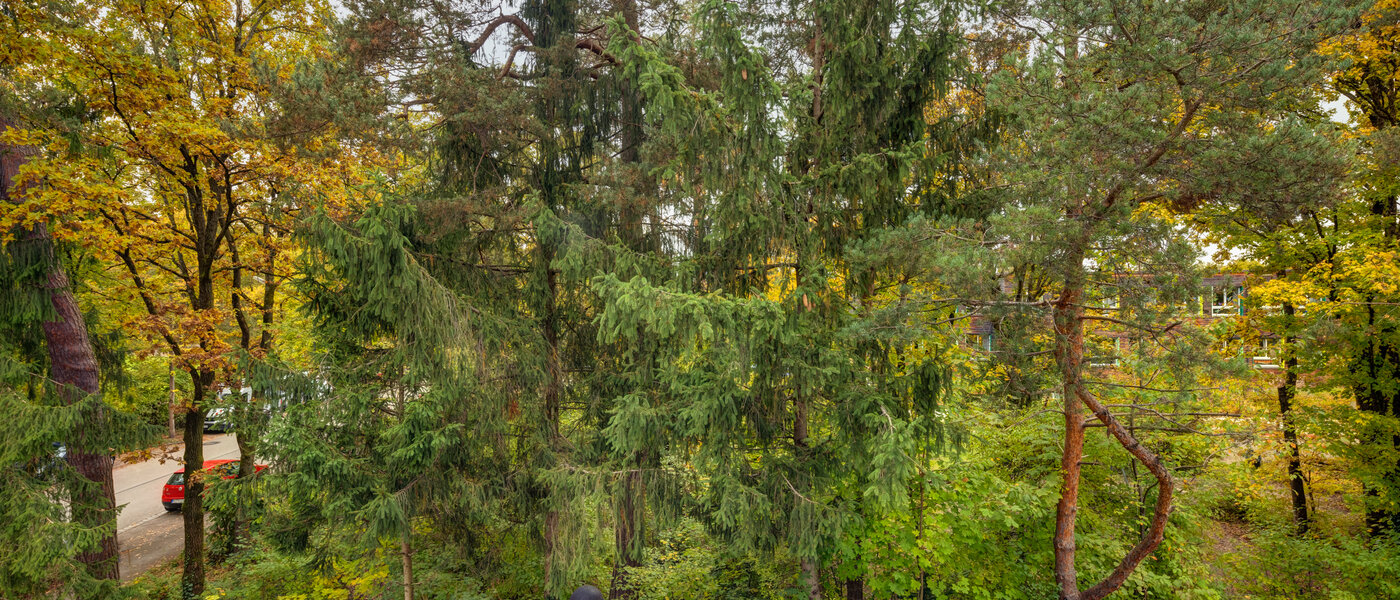 appartement Ottobrunn 03 vue 12770