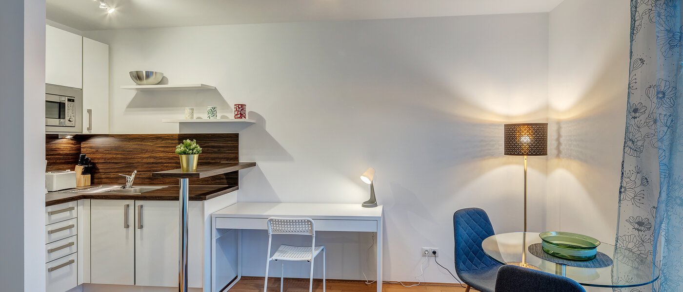 appartement München Haidhausen 02 cuisine 12848