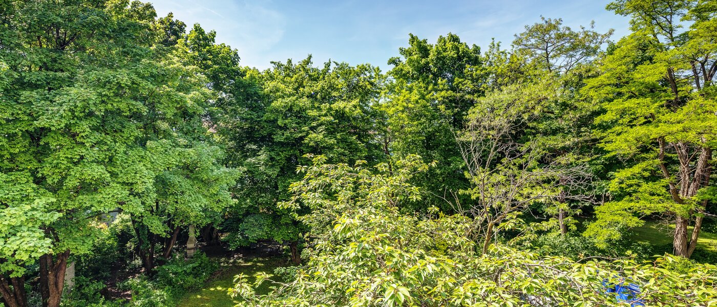 appartement München Parkstadt Schwabing 02 vue 13011