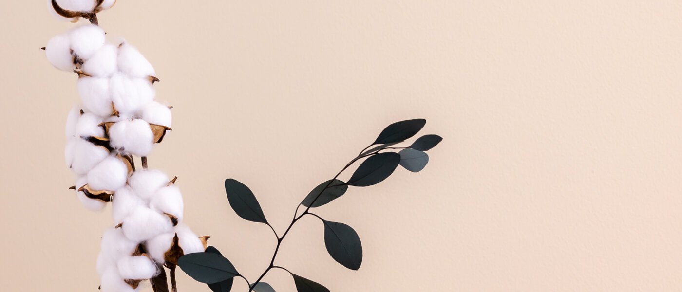 appartement München Isarvorstadt 02 2ième chambre 13026