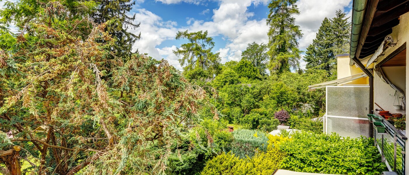 appartement München Berg am Laim 03 vue 13039