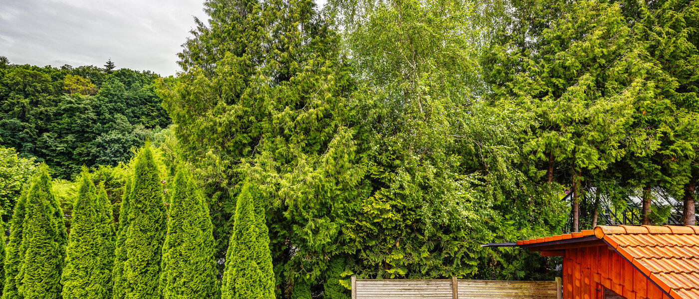 appartement Kottgeisering 04 vue 13040