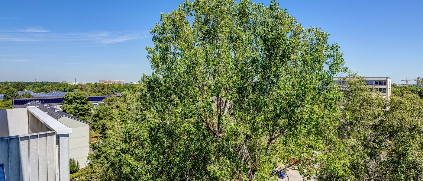 appartement München Fürstenried 02 vue 13096