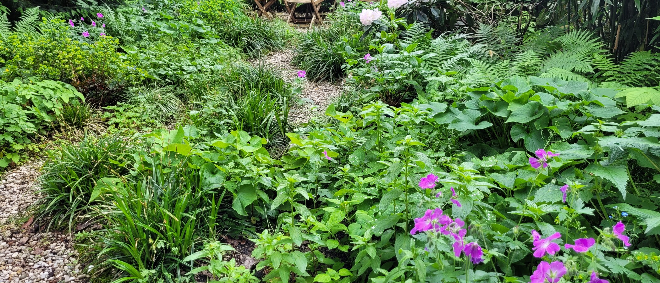 appartement München Altbogenhausen 02 jardin commun 13119