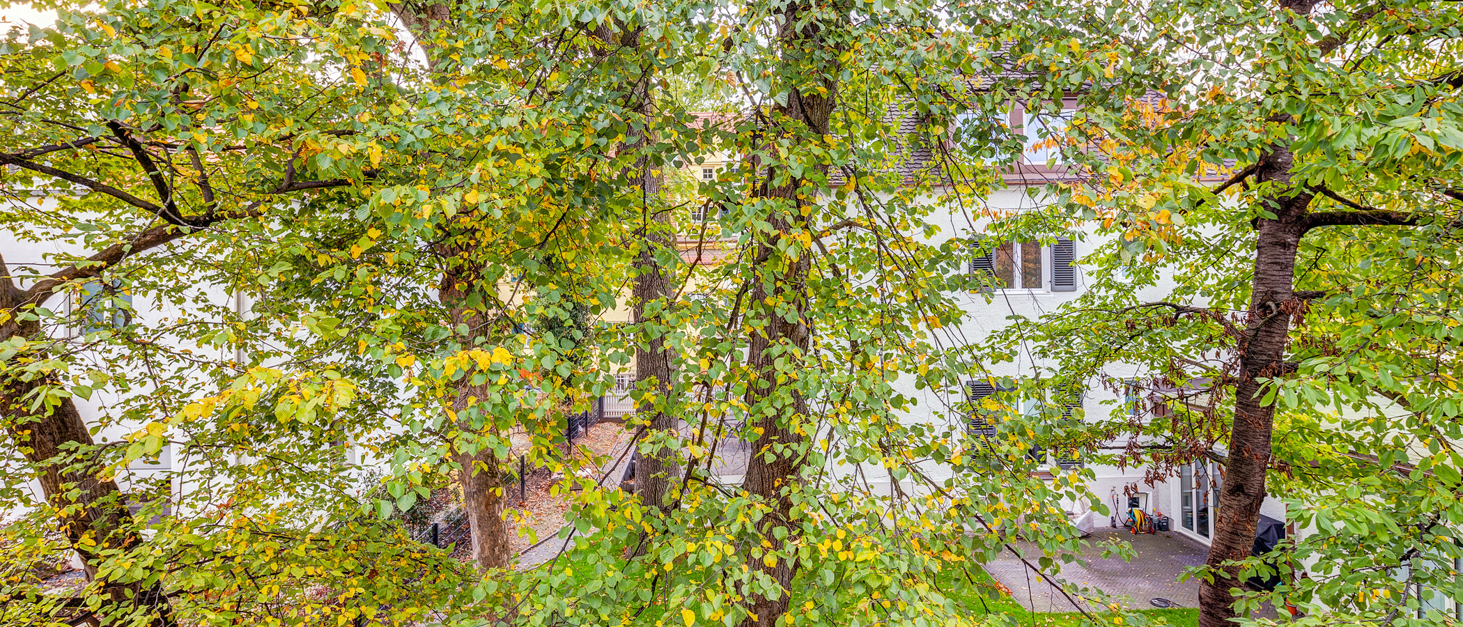 appartement München Laim 02 vue 13186