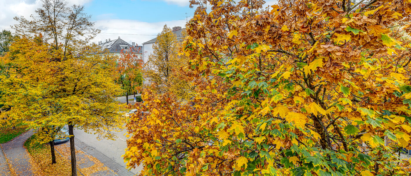 appartement München Thalkirchen 01 vue 13192