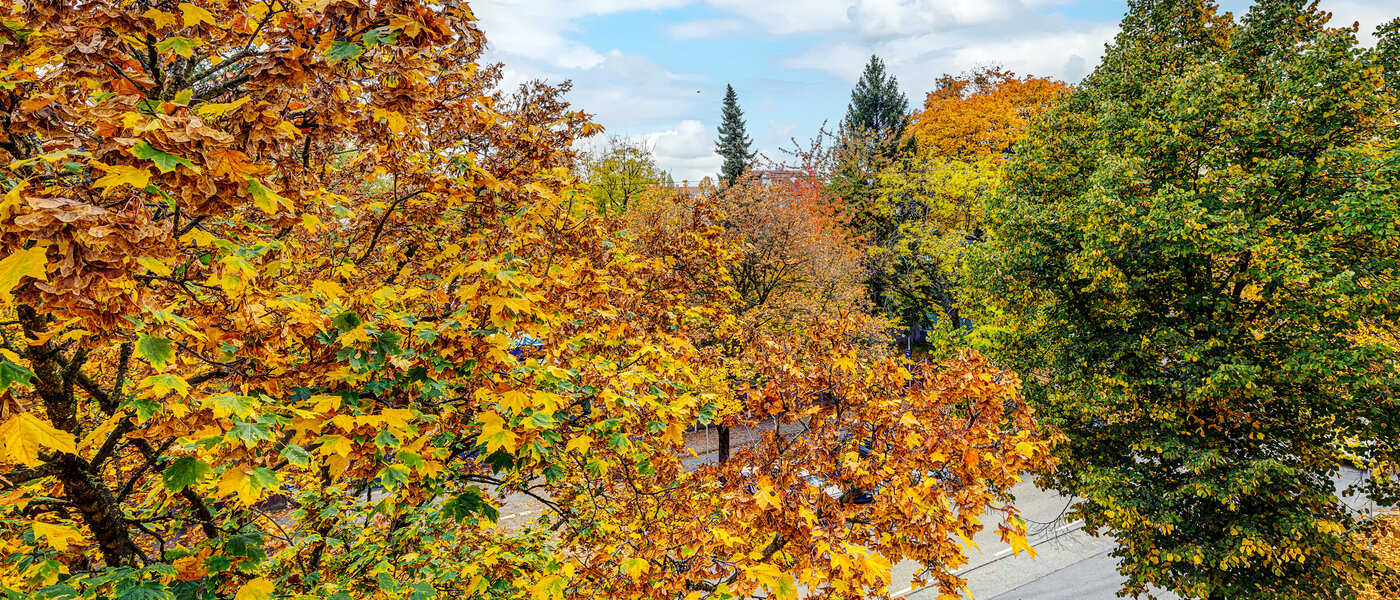 appartement München Thalkirchen 04 vue 13192