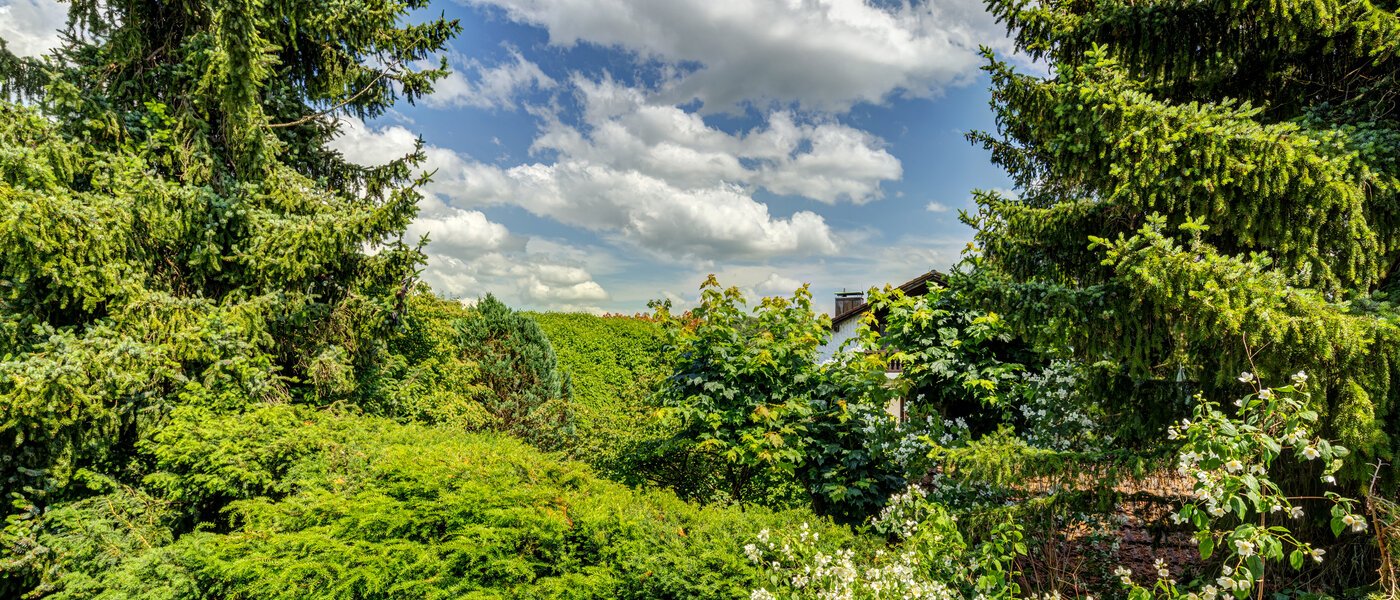 appartement sous les toits Inning am Ammersee 03 vue 13224