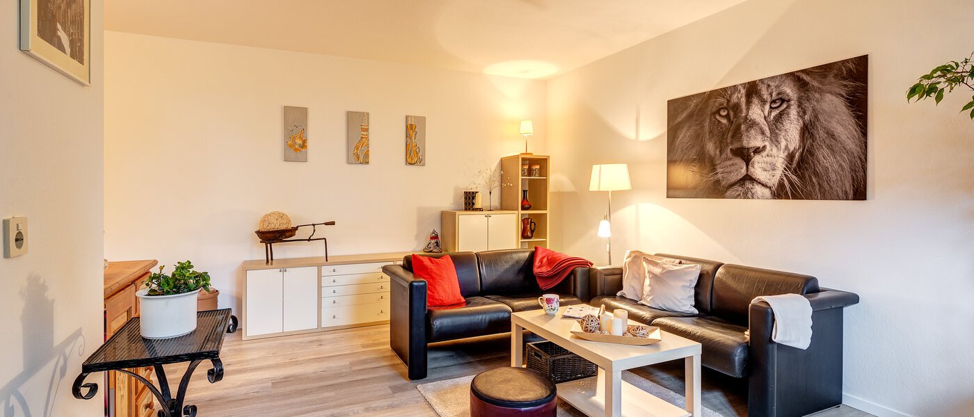 Désolé, cet objet est déjà loué