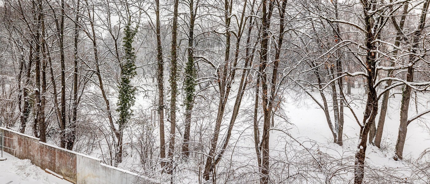 appartement sous les toits München Giesing 01 vue 13269