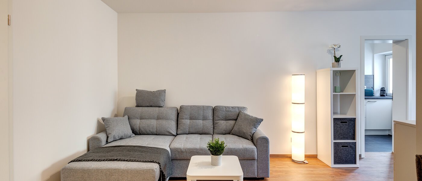 Désolé, cet objet est déjà loué