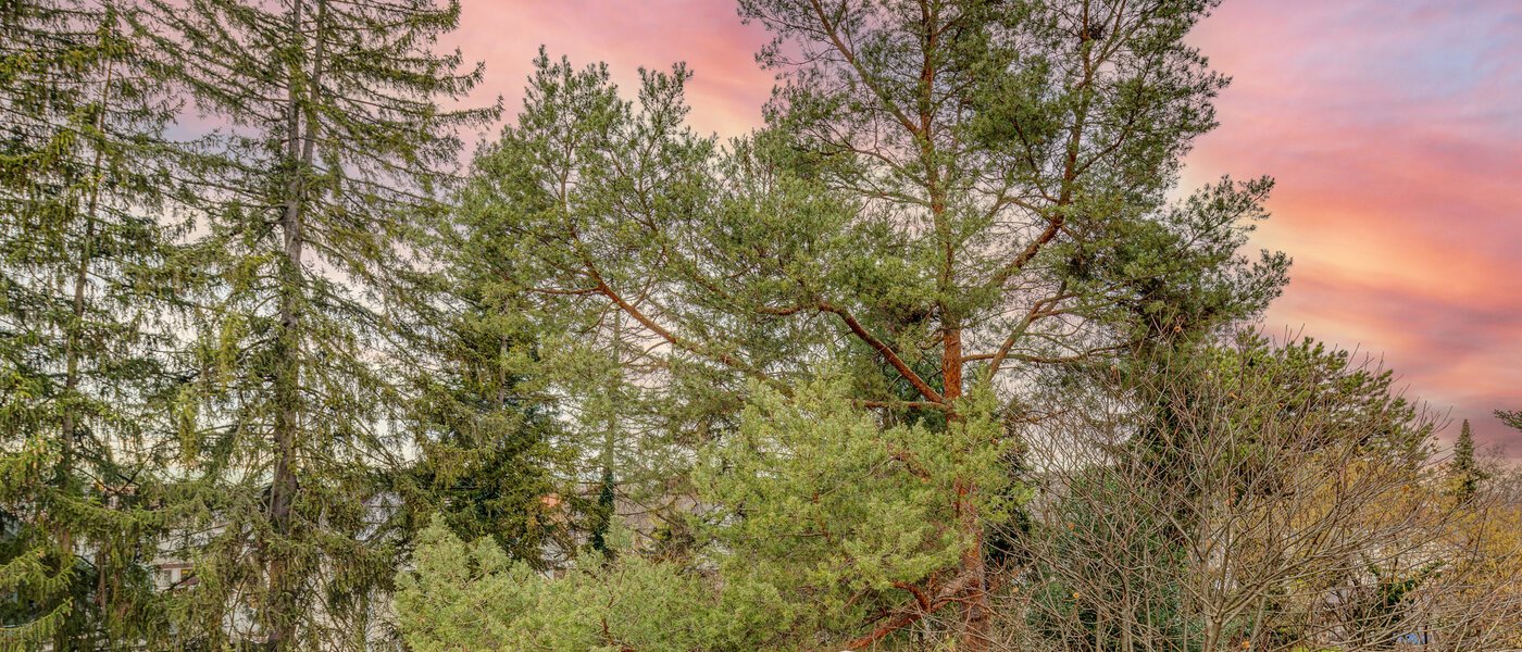 appartement avec terrasse sur le toit München Moosach 03 vue 13292