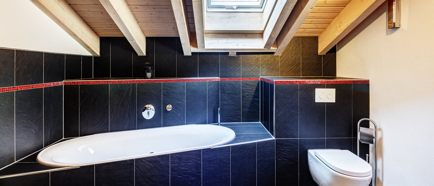 appartement sous les toits Tegernsee 04 salle de bain 13299